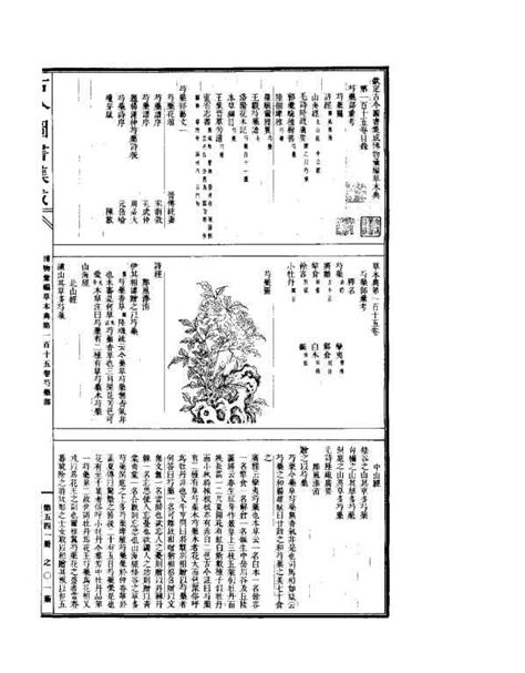 雙紅梅|欽定古今圖書集成/博物彙編/草木典/第206卷